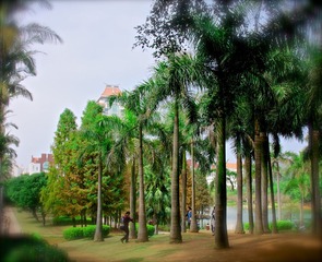 DSC00182 (1)