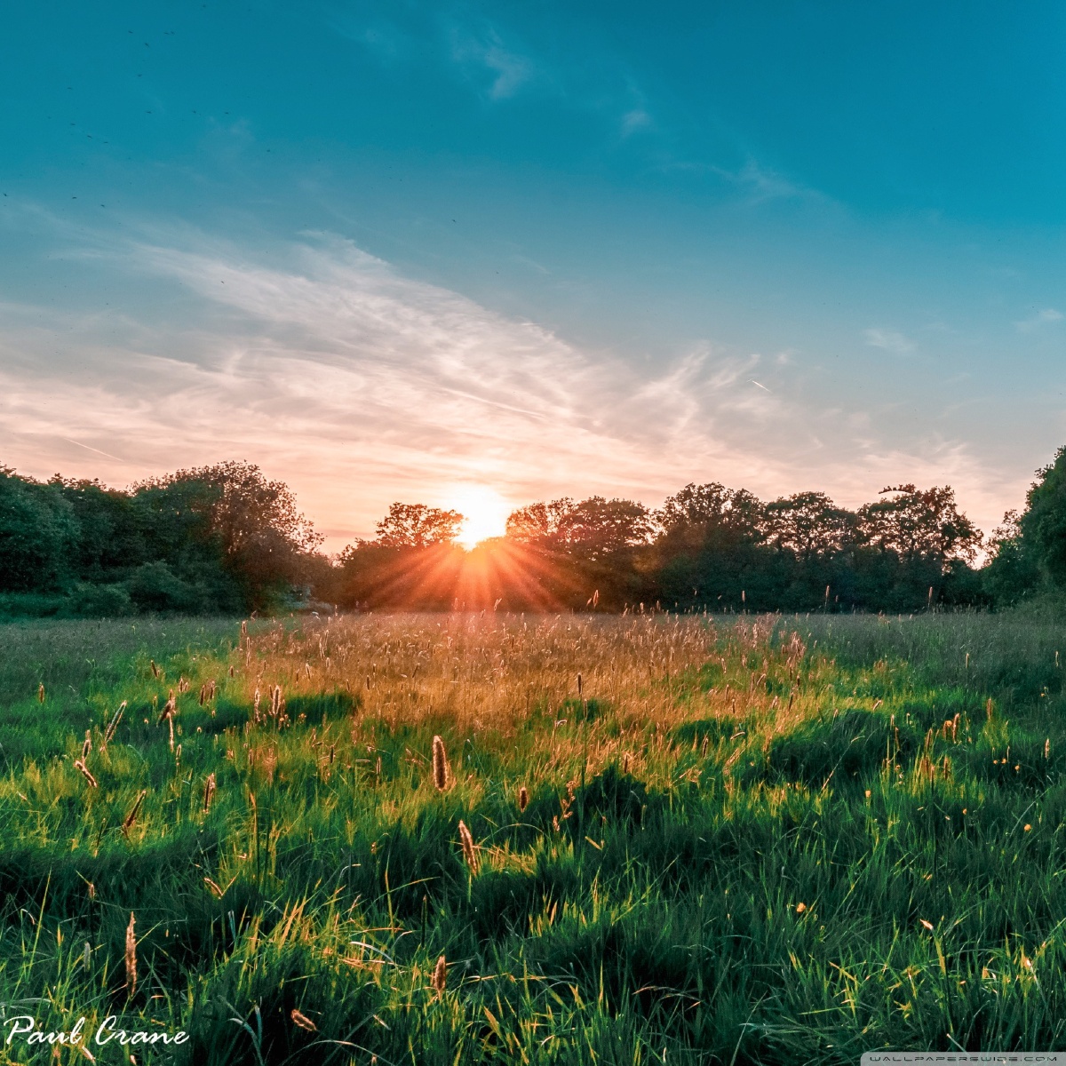 分享一切自己认美的图以及各种觉的有价值的图另外图片都是在其他地方