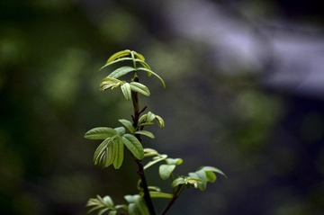 _DSC5383