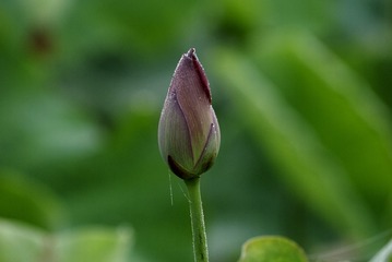 _DSC9070