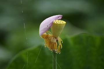 _DSC9108