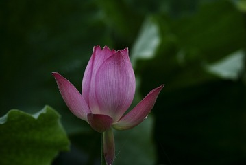 _DSC9058