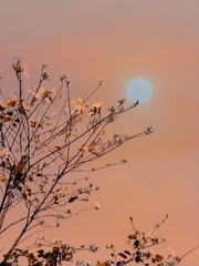 120158