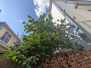 1000014545