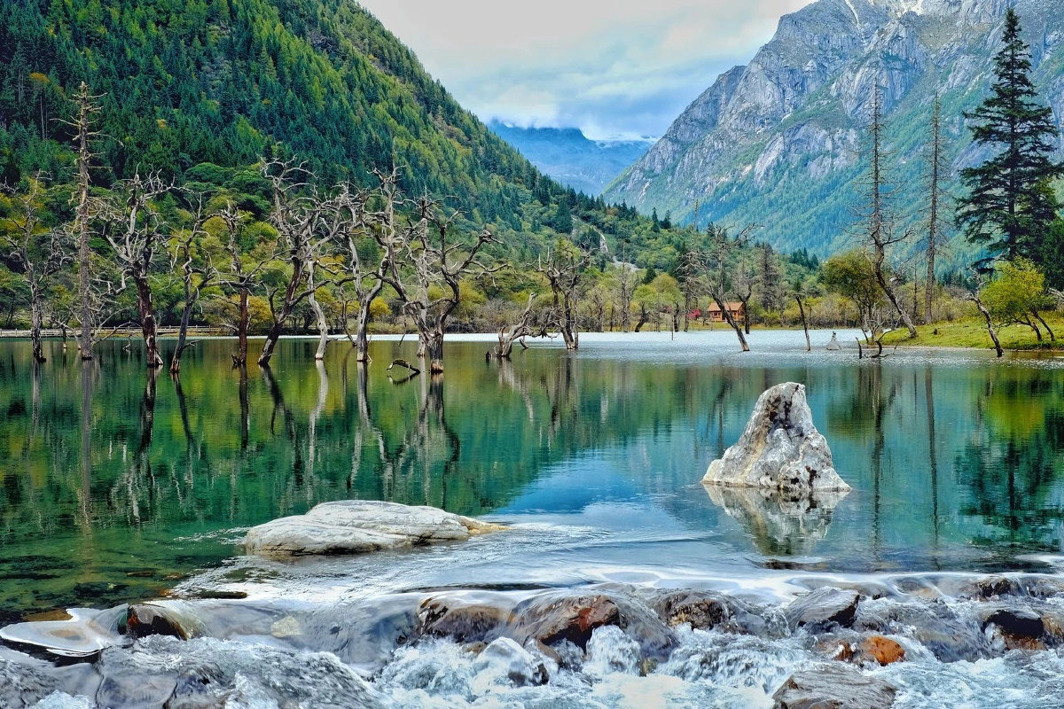 四川双桥沟若不是因为你我为何奔赴千里