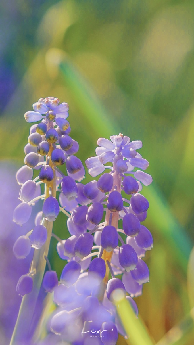 676767 - 新思维传递者 - 图虫