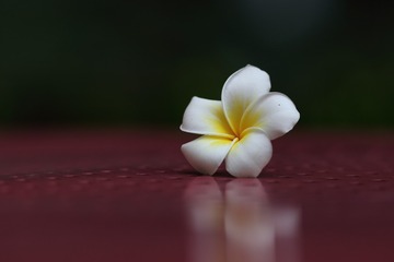 148208