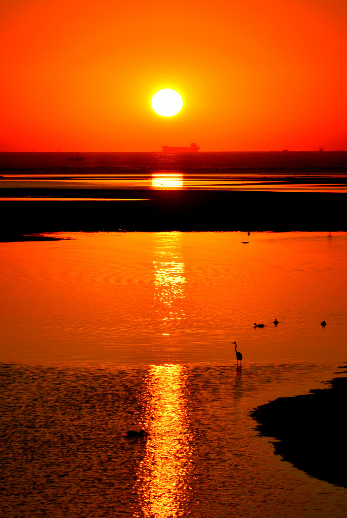 日出日落红霞飞