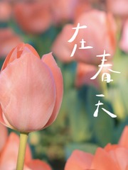 A2A10A3C-9453-41C2-8B4D-8D5A5F1E3E93/L0/001