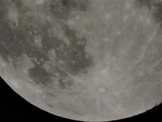 292264