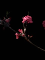 0CA745D0-E2C2-486F-A0AD-4B8829DE5C87/L0/001