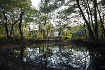 SDIM2830 (2)_调整大小