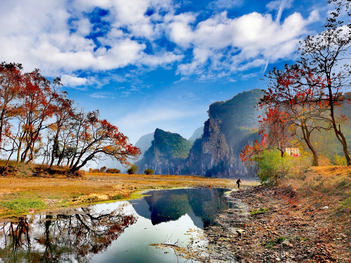 桂林乌桕滩风光