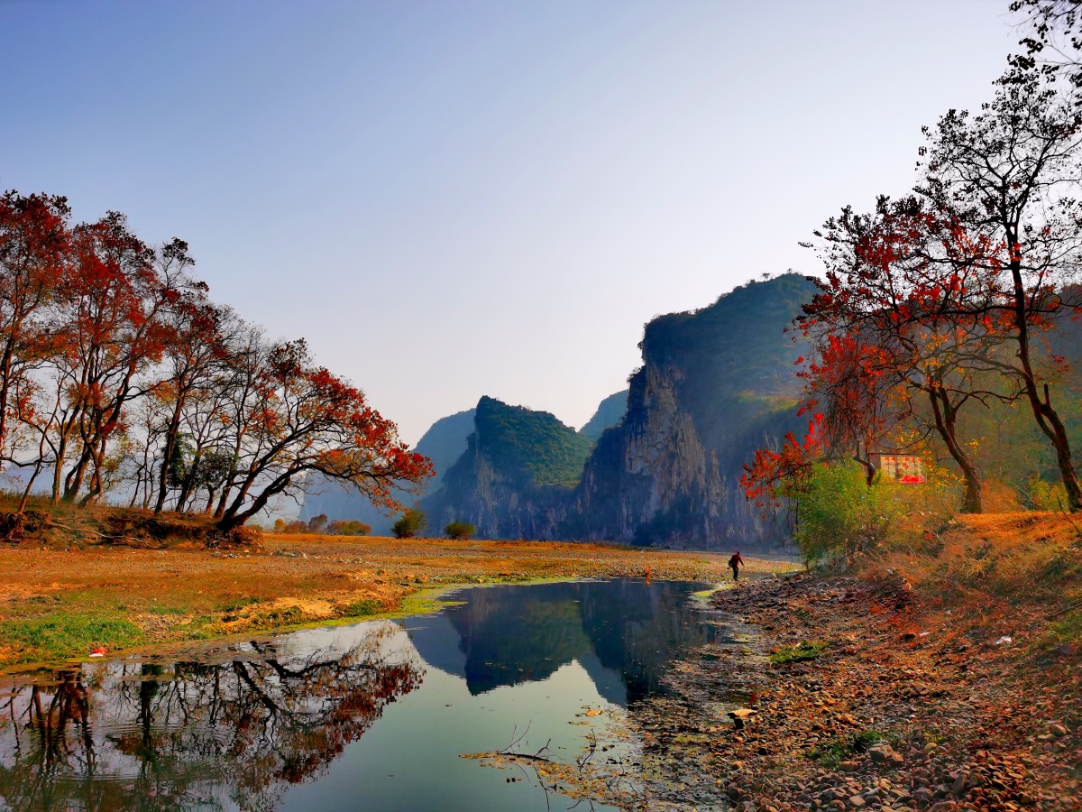 桂林乌桕滩枫叶红了