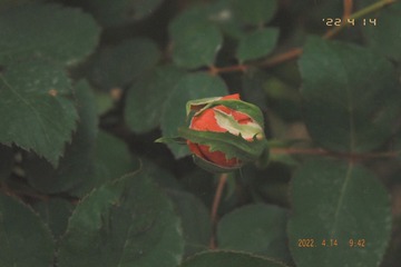 D12650D4-59AD-4BDA-A782-FB54E393BF56/L0/001