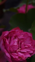 76E8FEB0-824C-4CA9-9E95-985D4408FB5F/L0/001