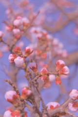 B65DEE4C-9BB1-4F7B-88F5-6A5F02C102E7/L0/001