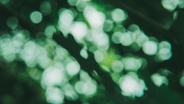 58A2CC4C-97AB-4322-95D2-811A087CD0FF/L0/001