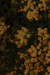 C0D06743-B537-4B7C-9C96-D77F8CA257BA/L0/001