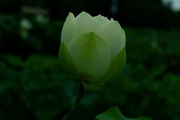 AFAF43E9-43E4-491B-A8AE-56D58C9C485D/L0/001