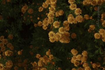 3F5C2BDE-6156-4DB2-B127-3F7CFDA2BFAD/L0/001