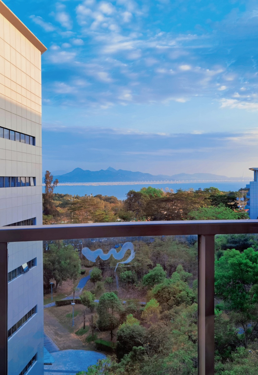 深圳港大医院住院部的海景房
