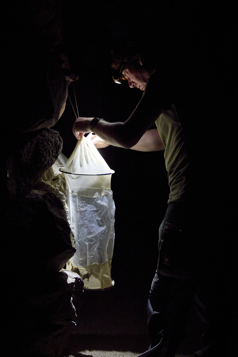 缙云山 - 很老很老的猫 - 图虫网 - 最好的摄影师都在这