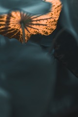932317