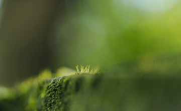 345025