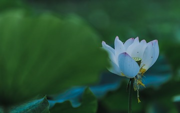 重大残荷