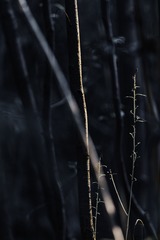 124032