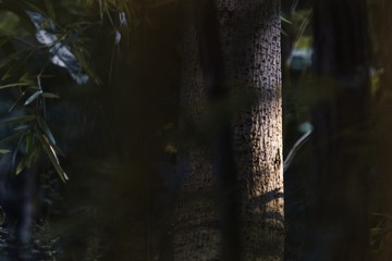 124040