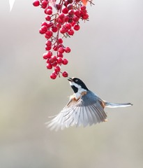 870