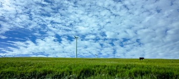 DSCF5173