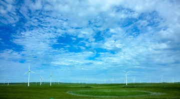DSCF5185
