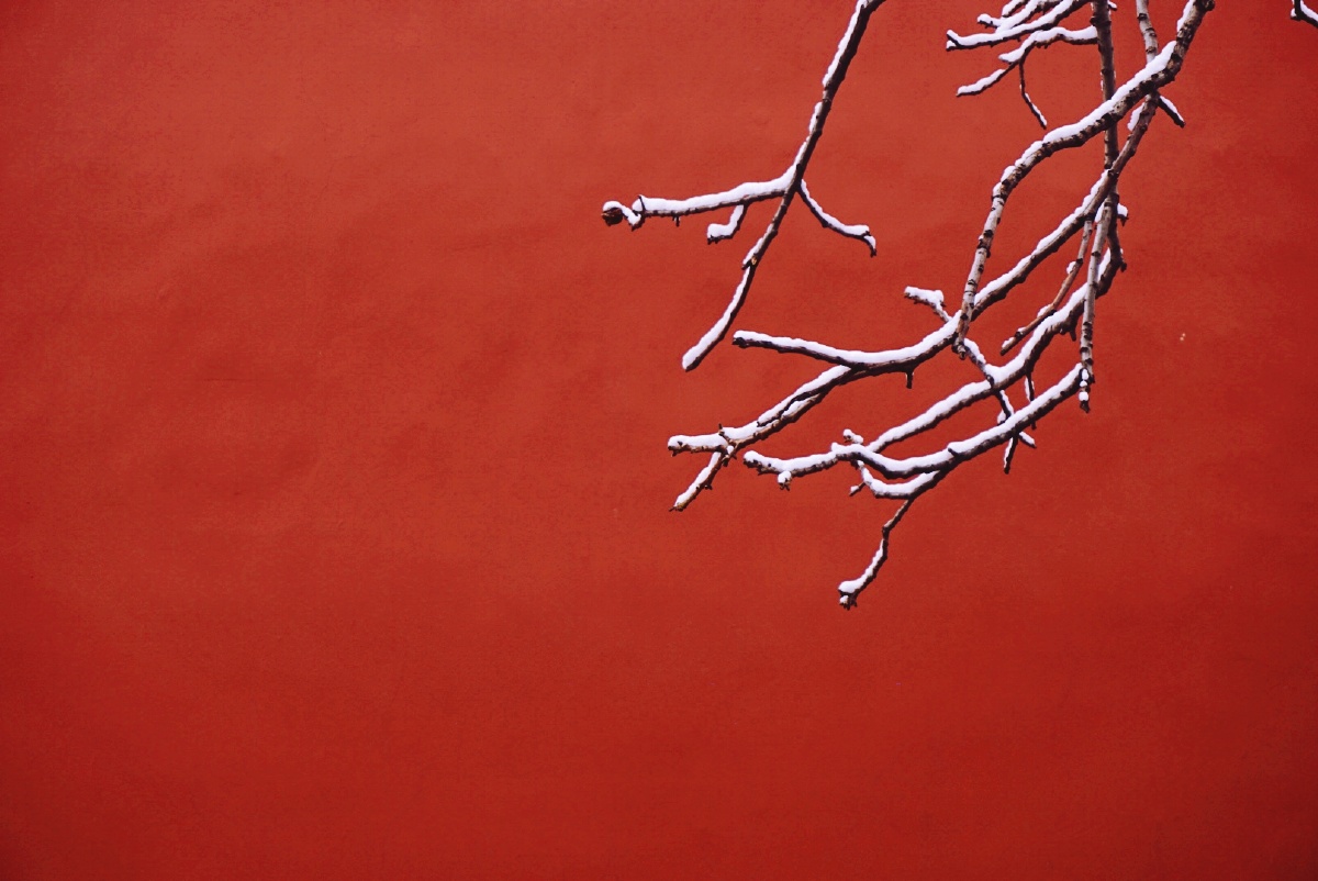 去年的故宫初雪78