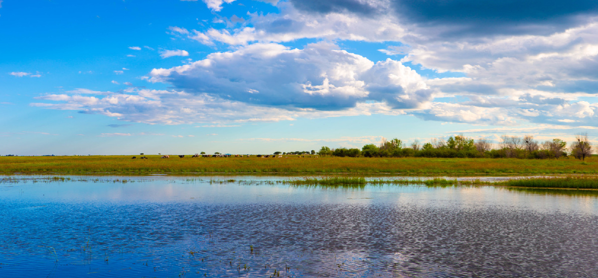 杜尔伯特草原印象之三 - 创作者159178302318688 - 图虫