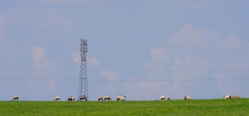 793005