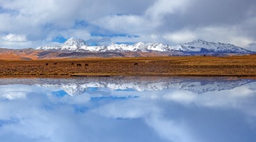 _F9A1477