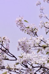 C3D56E9E-CCA3-445C-99BB-58EC0D64B0BD/L0/001