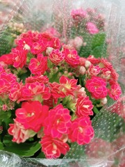 57BE139C-CE17-4039-A6E3-8DCCA8D05E3D/L0/001