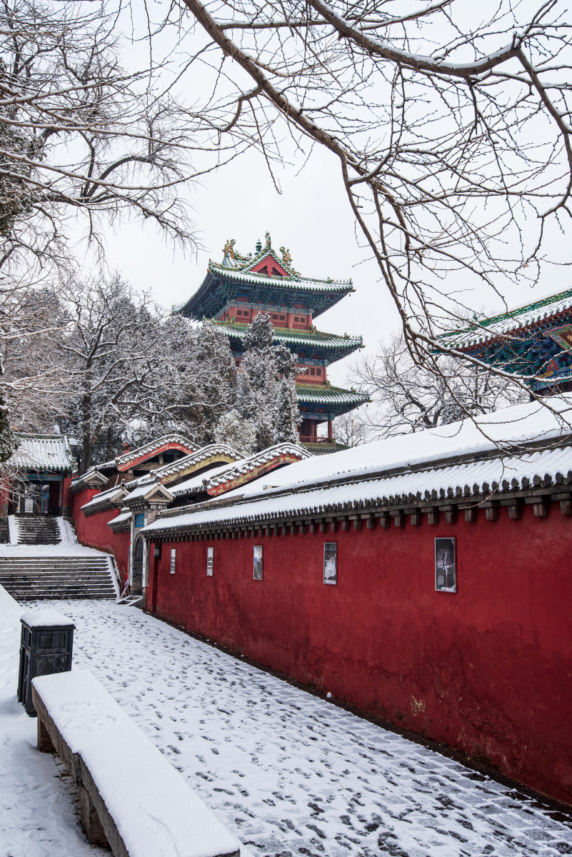 风雪少林寺2
