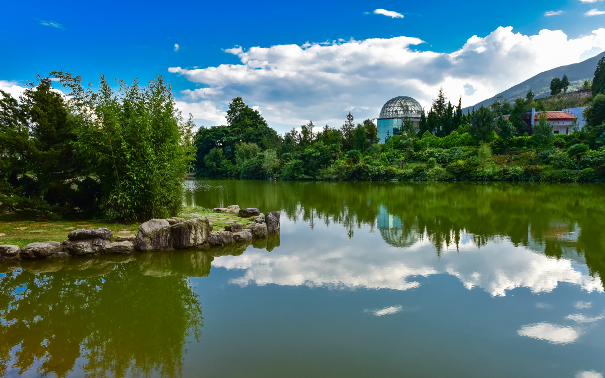 大理蝴蝶博物馆