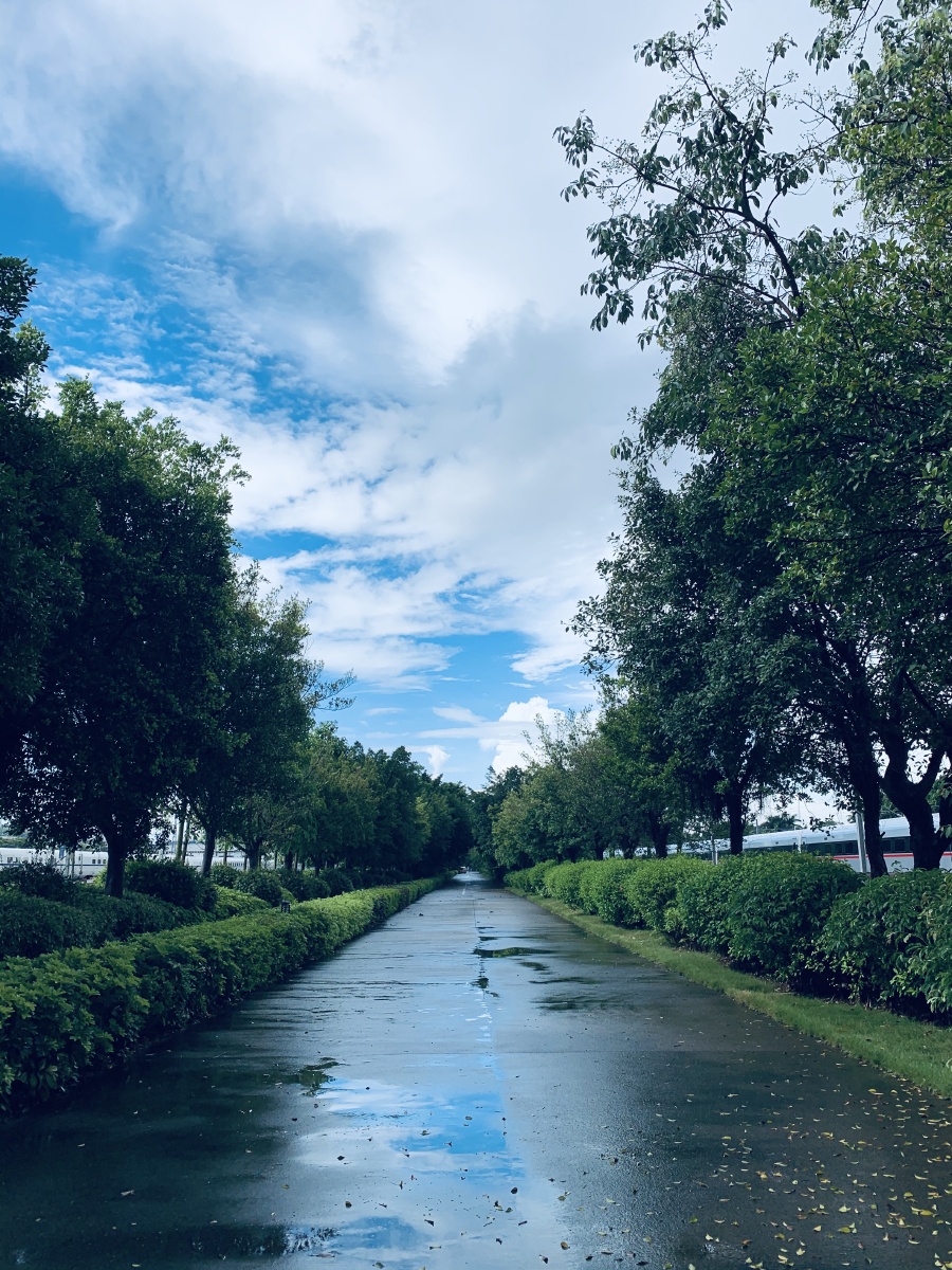 雨后的心情,永远的清新