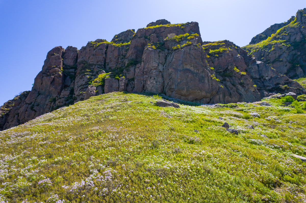 大青山位于朝阳县西北部