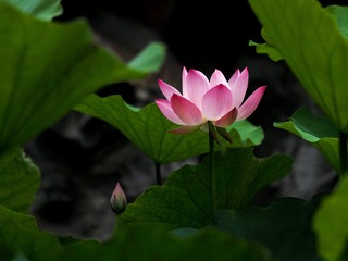001