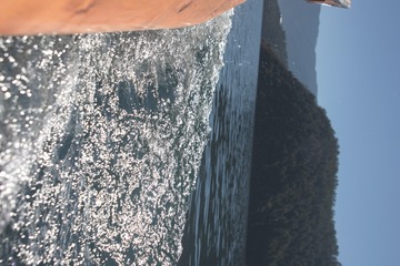 DSC_2374 - 