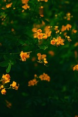 9981E8FF-06D6-4797-A65D-D787150E23F5/L0/001