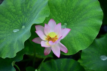001