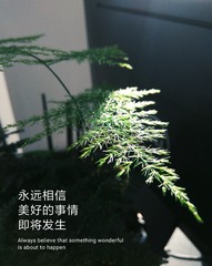 1403549